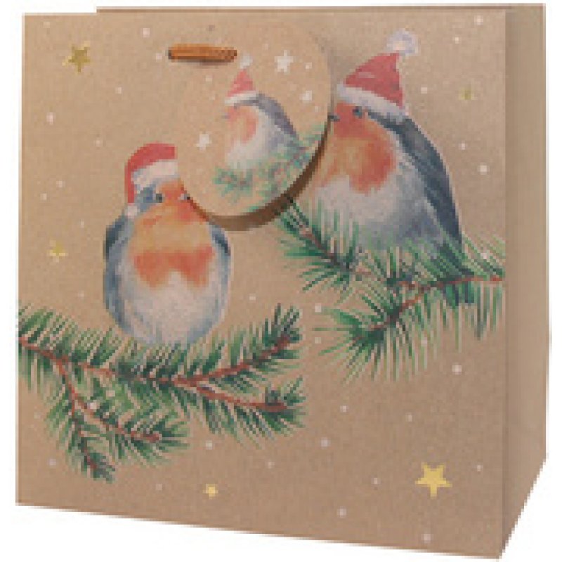 CACTUS Sac cadeau de Noël "ho ho ho", petit