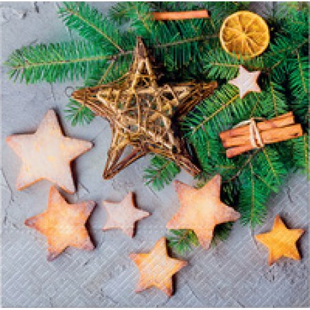 CACTUS Serviette à motif de Noël "Étoiles"