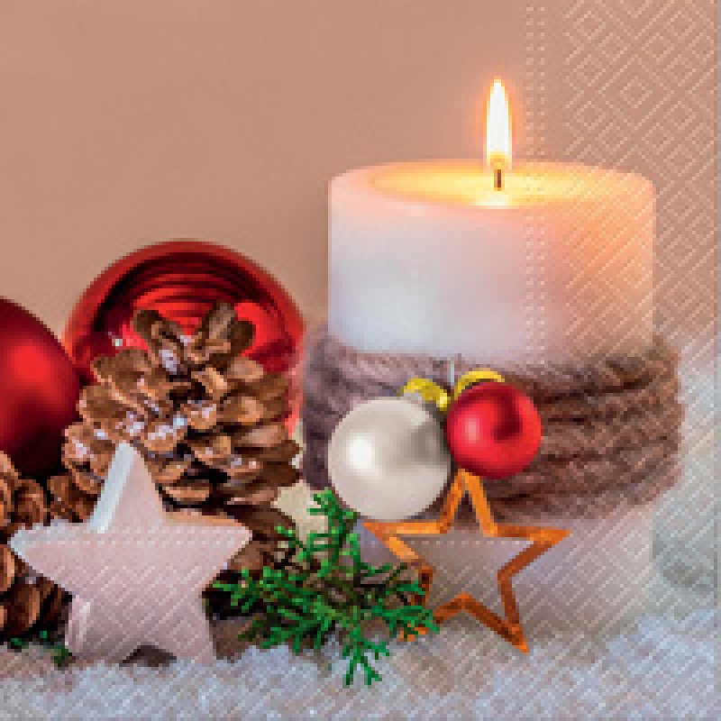 CACTUS Serviette à motif de Noël "Cerfs"