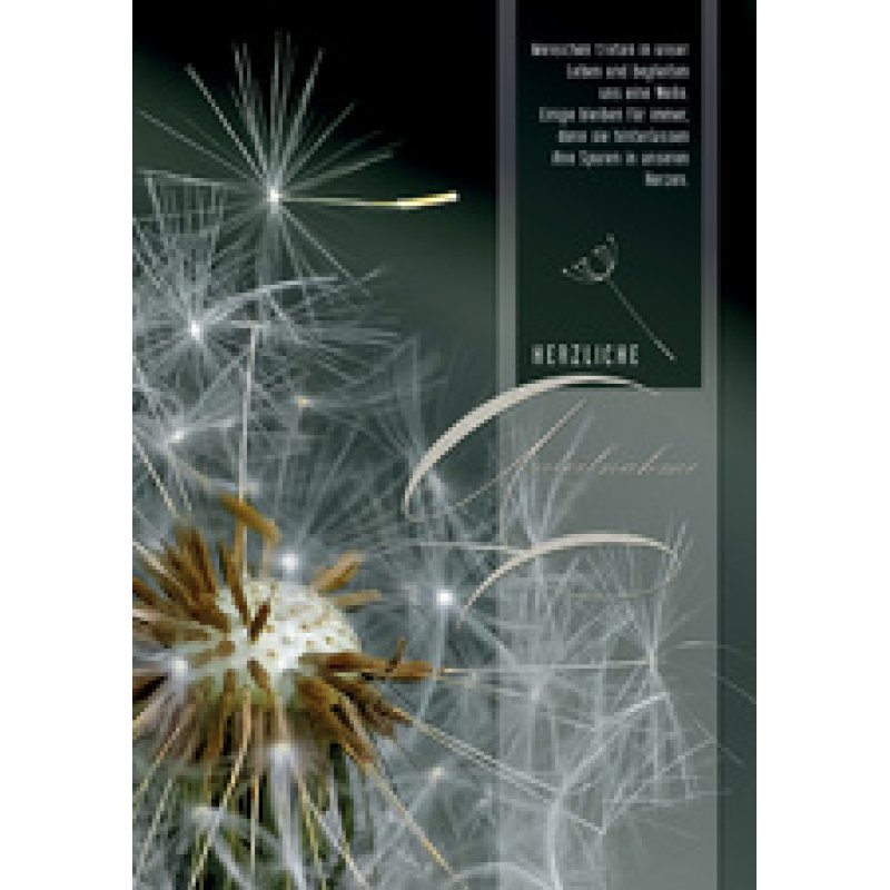 CACTUS Trauerkarte "Tulpen vor Mond"