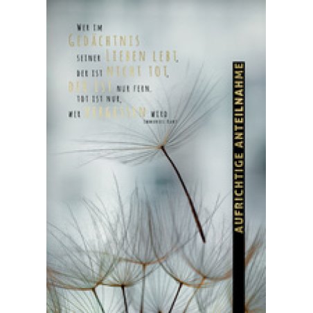 CACTUS Trauerkarte "Fliegende Pusteblumen"