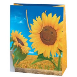 SUSY CARD Sac cadeau "Sunflower Smile"