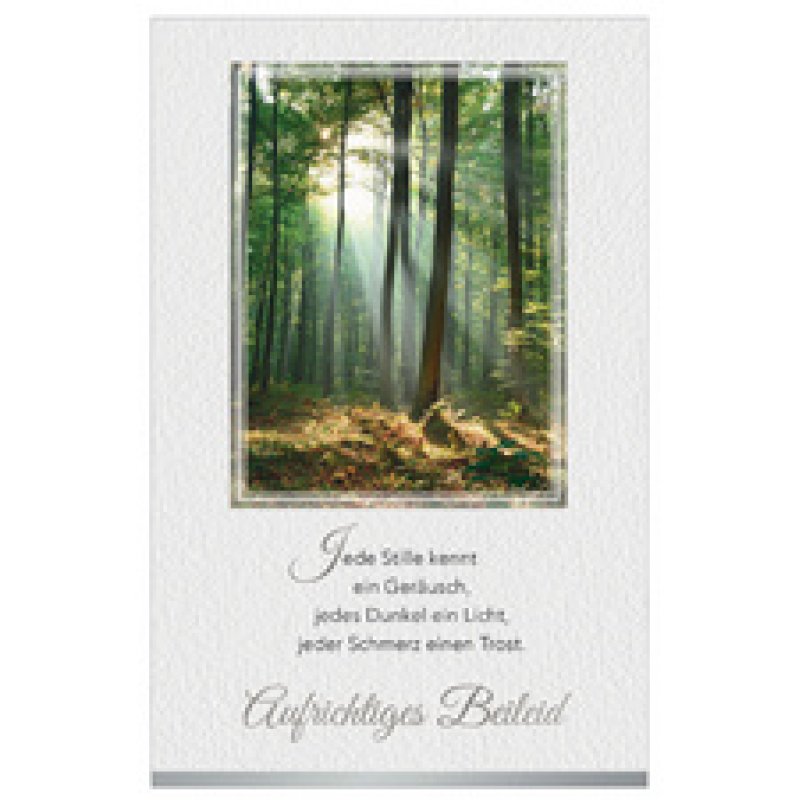 SUSY CARD Trauerkarte "Feine Zweige 2"