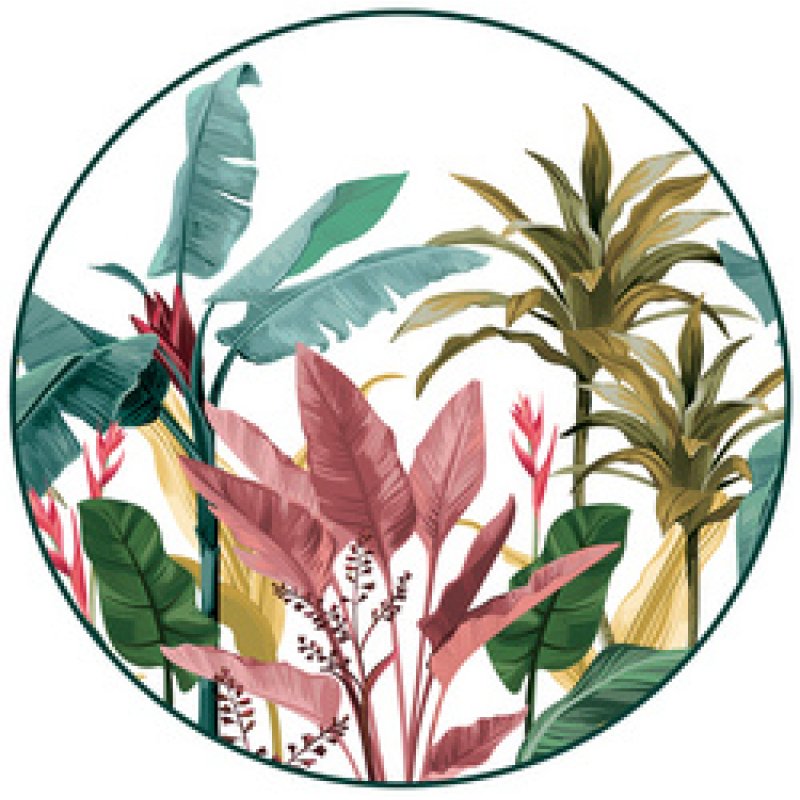 CEP Bloc de classement Smoove Tropical, 5 tiroirs, blanc/