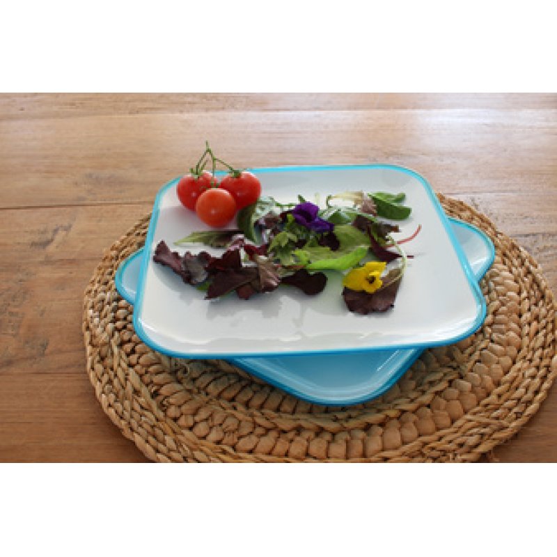 Linden Berg Set d'assiettes de table, carré, set de 2, vert