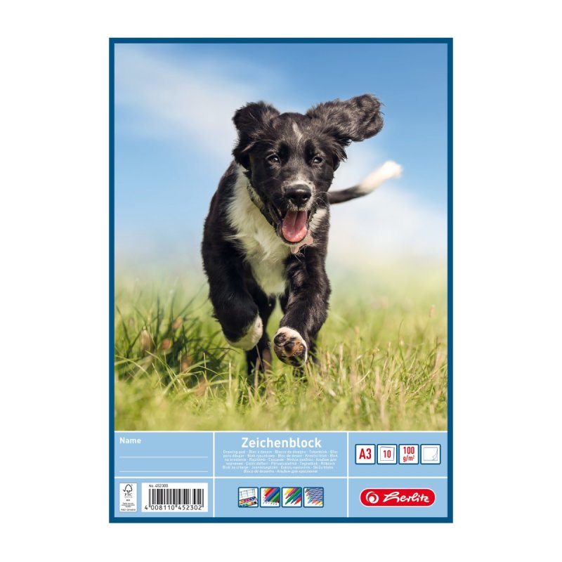 Herlitz 452300 bloc-notes A3 10 feuilles Multicolore