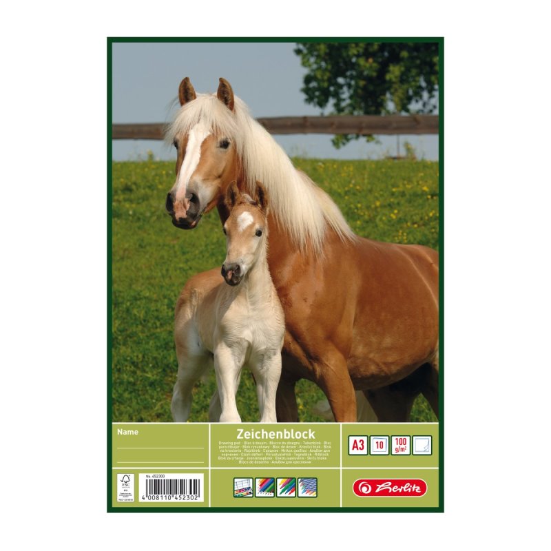 Herlitz 452300 writing notebook A3 10 sheets Multicolour