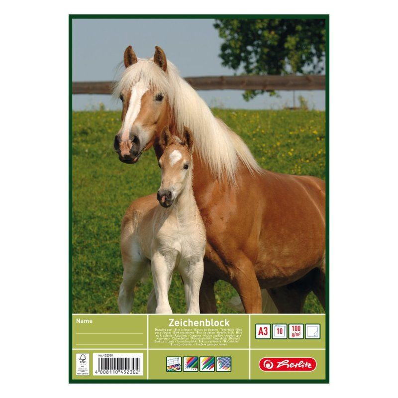 Herlitz 494419 writing notebook A4 20 sheets Multicolour