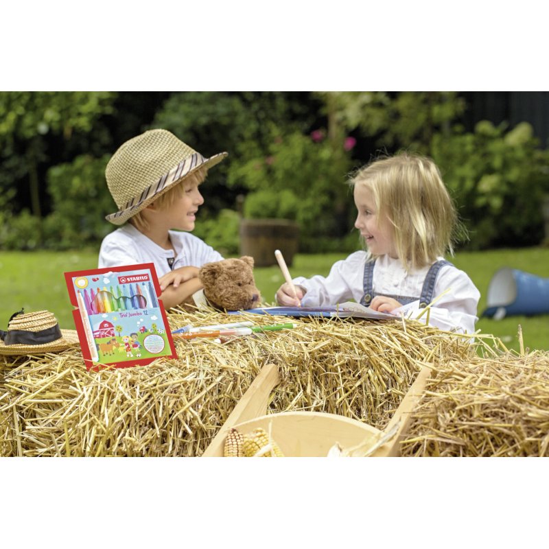 STABILO Feutre Trio Jumbo, étui en carton de 12