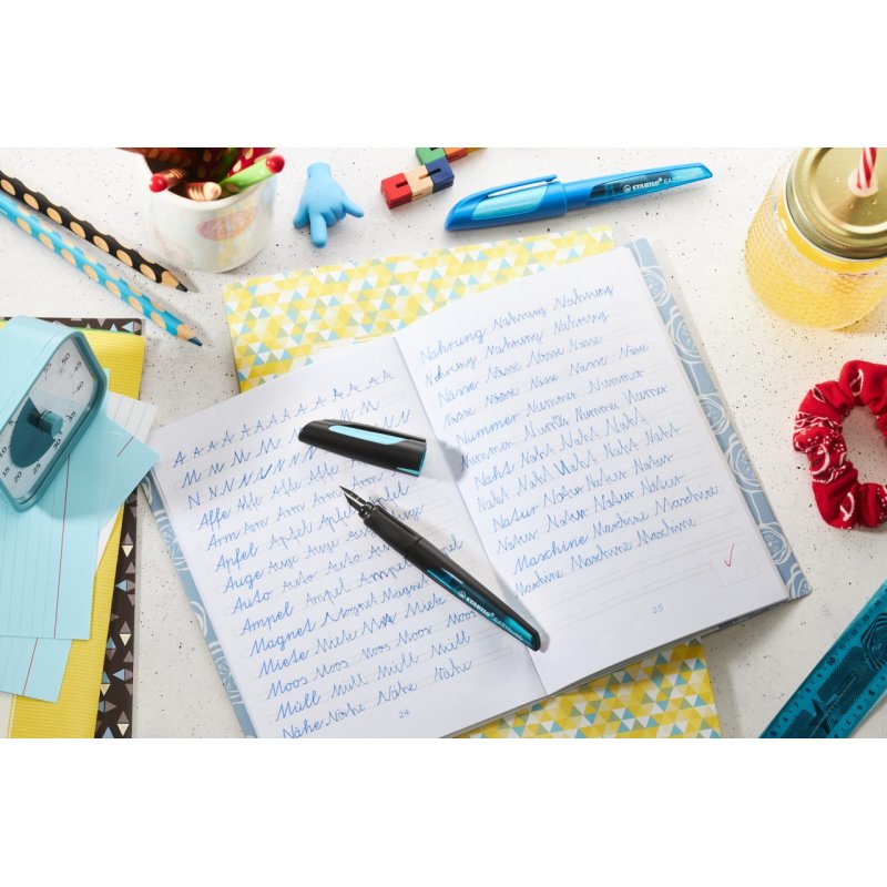 STABILO Stylo plume EASYbuddy M, droitiers, lilas/magenta