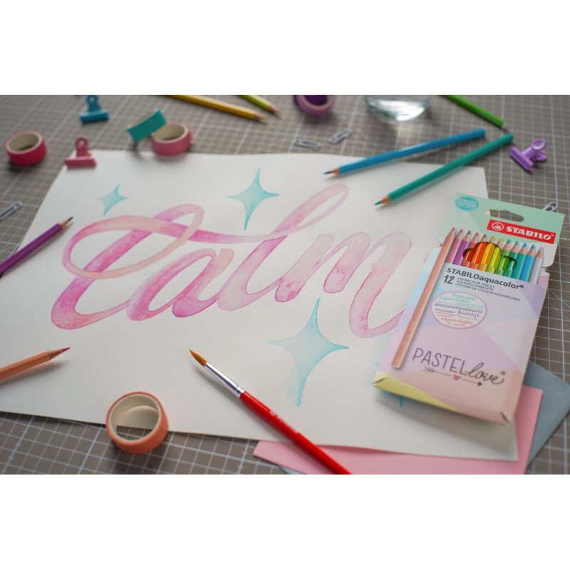 STABILO STABILOaquacolor Multicolour 12 pc(s)