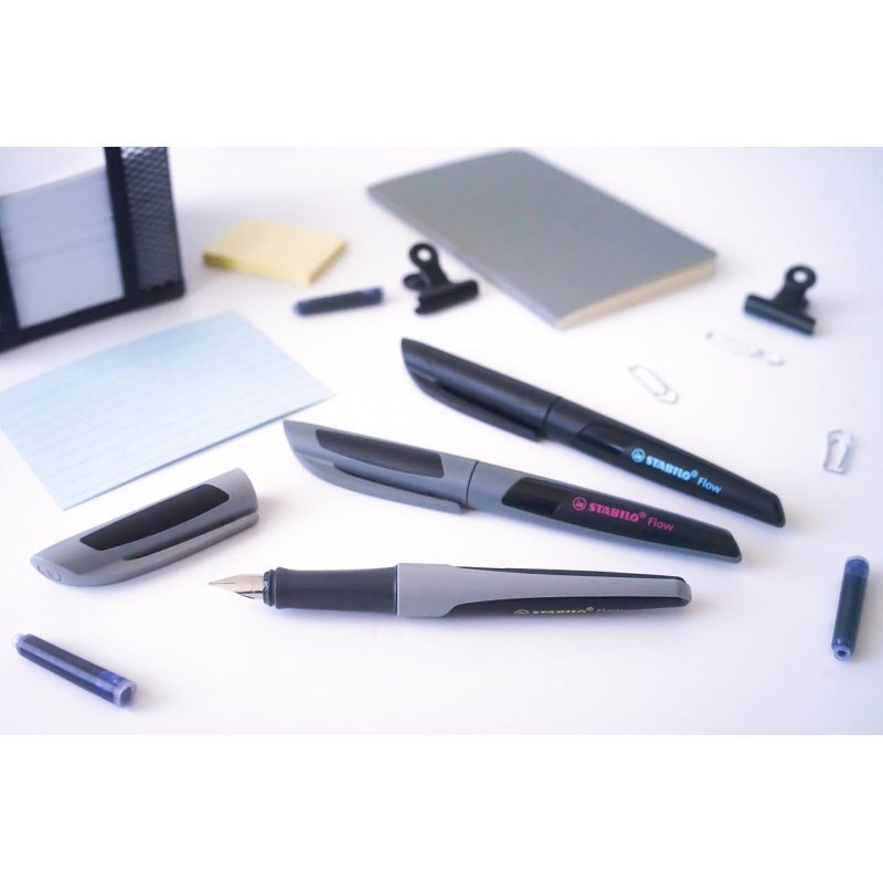 STABILO Stylo plume Flow ACTIVE, gris