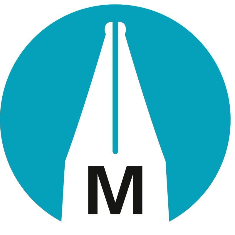 STABILO Stylo plume Flow ACTIVE, gris