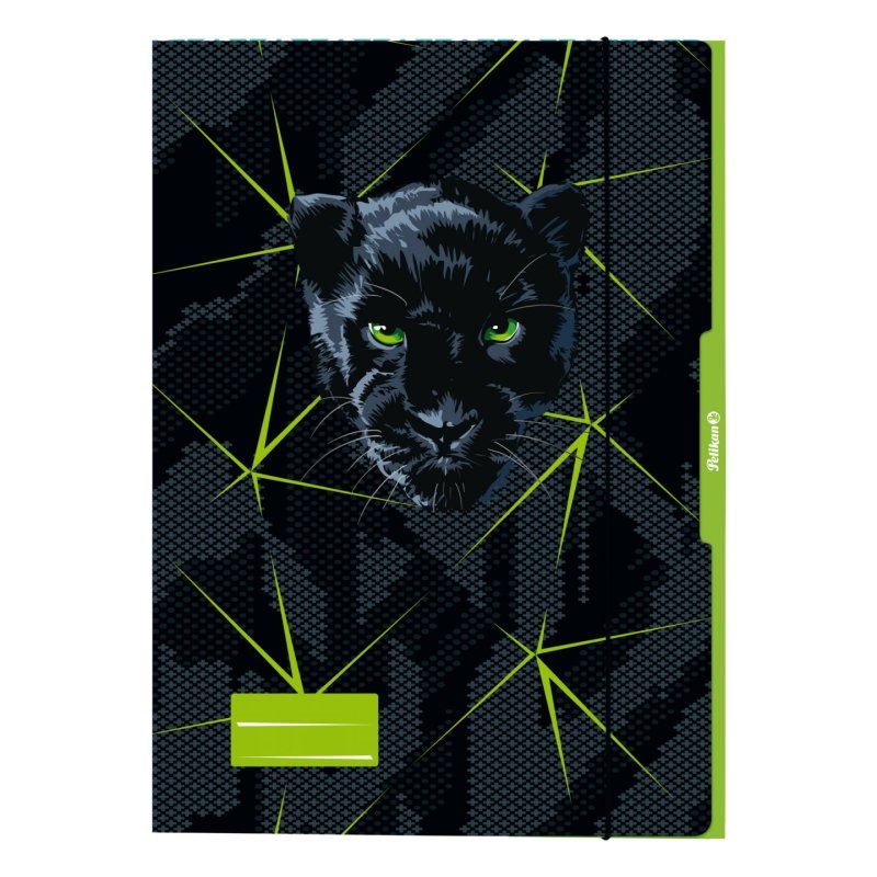 Pelikan 276917 fichier Carton Noir, Vert A3