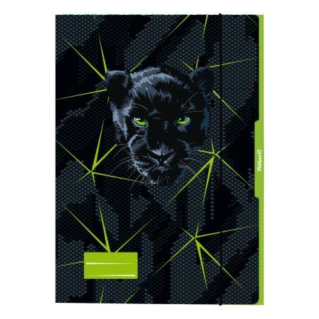 Pelikan 276917 folder Cardboard Black, Green A3