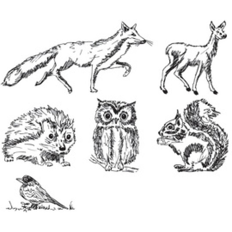 HEYDA Kit de tampons à motifs "animaux de la fôret",6 pièces