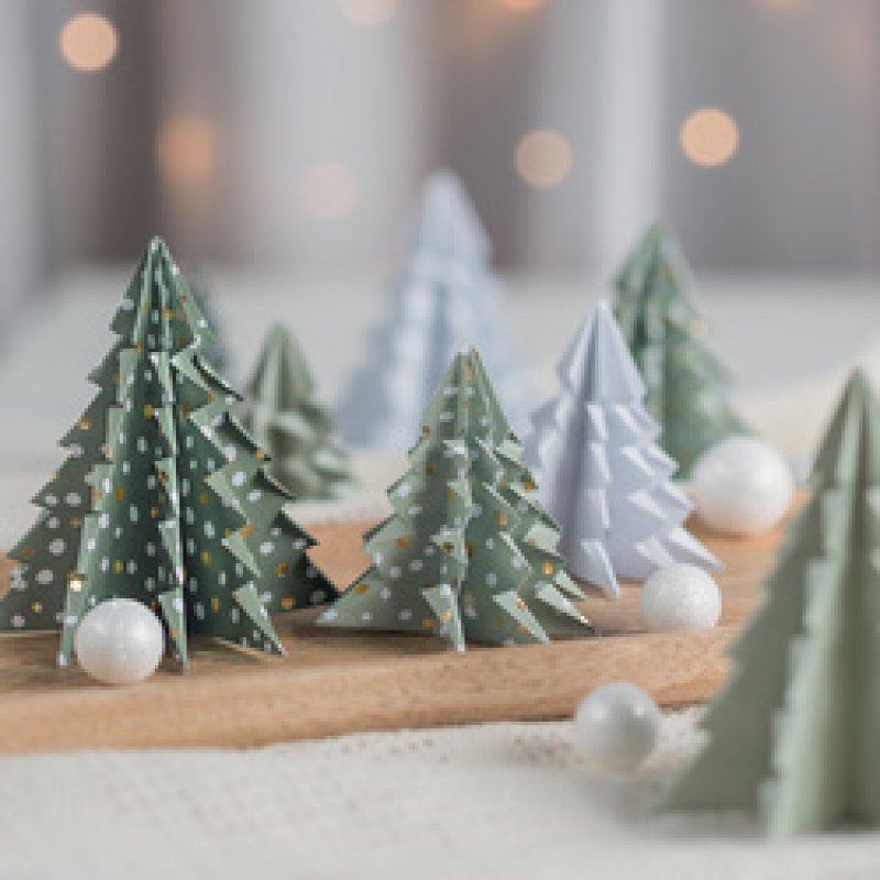 HEYDA Set de feuilles de papier à plier "Sapin eucalyptus"