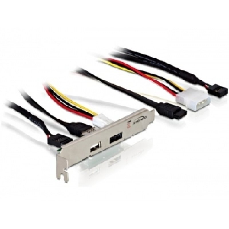 DeLOCK Slot bracket eSATAp 5V/12V USB 2.0 carte et adaptateur d'interfaces