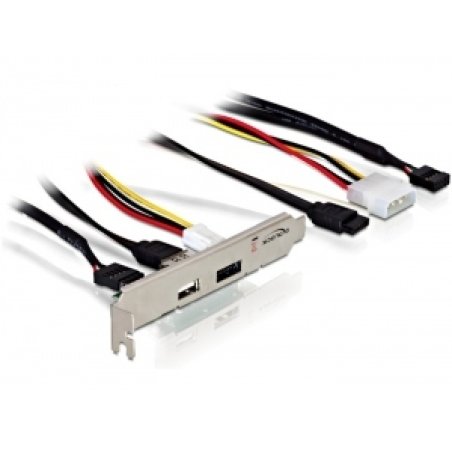 DeLOCK Slot bracket eSATAp 5V/12V USB 2.0 carte et adaptateur d'interfaces
