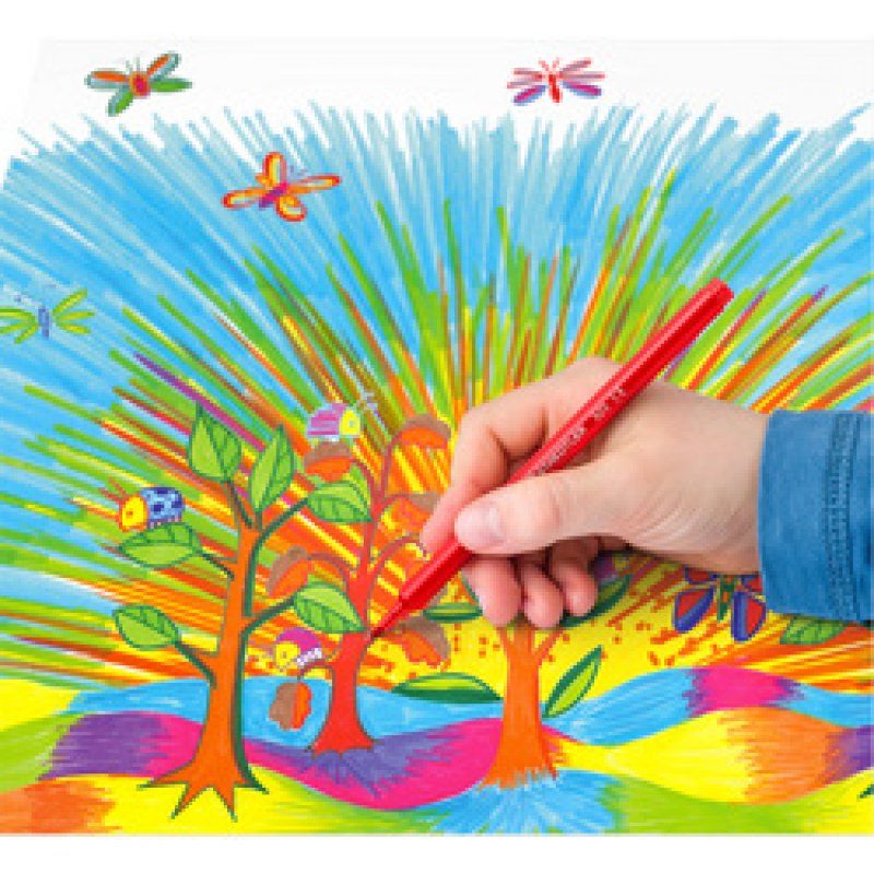 STAEDTLER Feutre de coloriage Noris, étui en carton 12