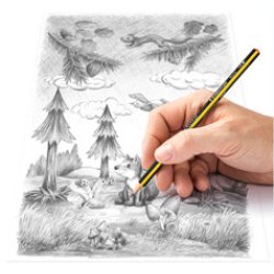 STAEDTLER Crayon graphite Noris, degré de dureté: HB