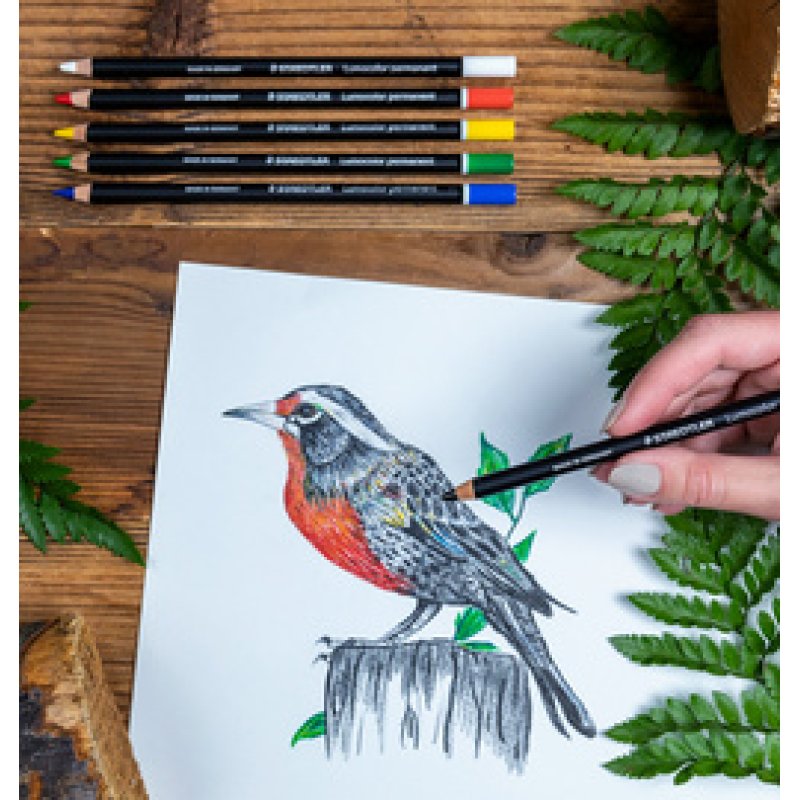 STAEDTLER Crayon marqueur sec Lumocolor permanent glasochrom