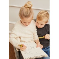 STAEDTLER Crayon graphite Noris junior, degré de dureté: 2B