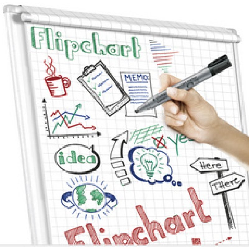 STAEDTLER Marqueur de conférence 356 Lumocolor, étui de 4