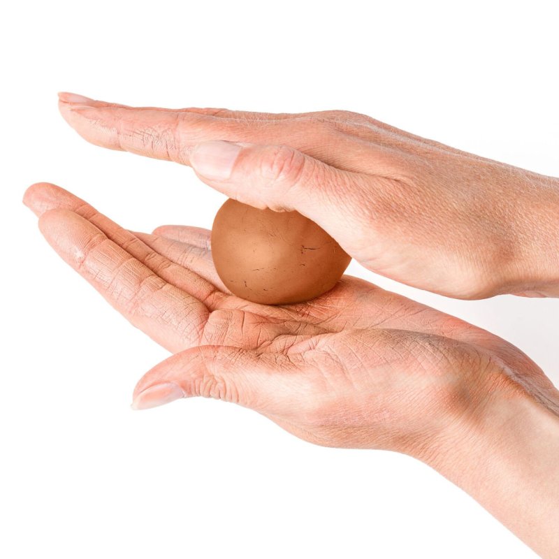 FIMO air Pâte à modeler durcissant à l'air, effet bois