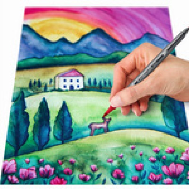 STAEDLER Feutre double pointe "Asie", étui en carton de 6