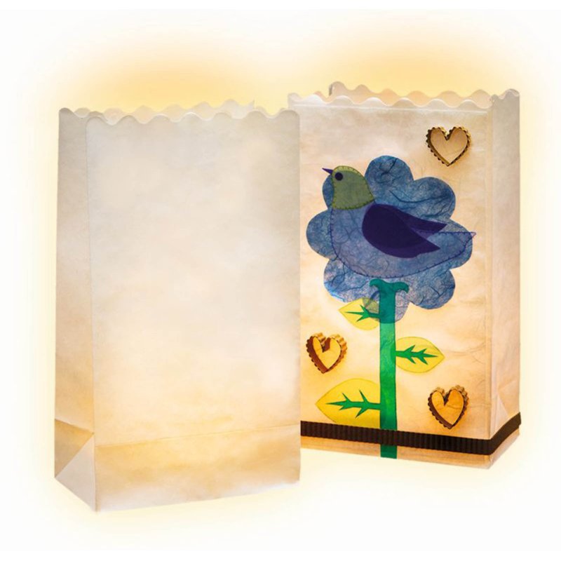 Folia 11900 paper bag Transparent