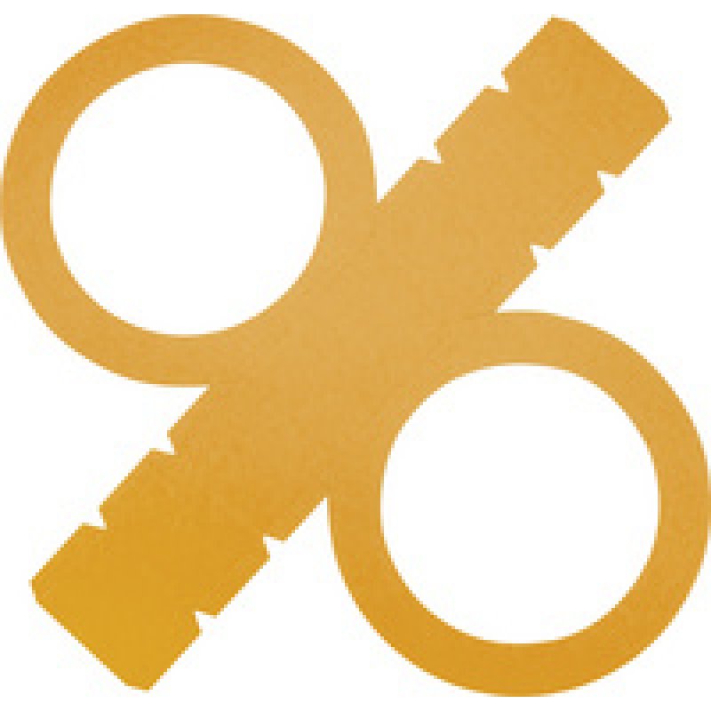 folia Lampions prédécoupés, en papier photo, multicolore