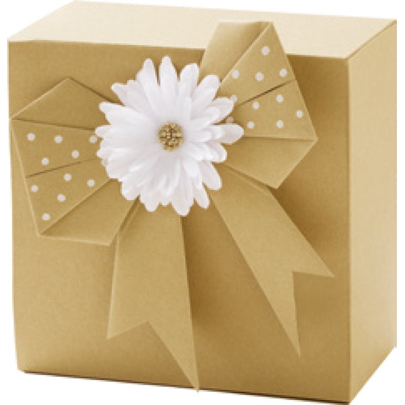 folia Bloc de papier kraft, A4, 20 feuilles, assorti