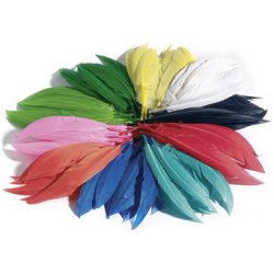 folia Plumes d'indiens, 100 g, assorti