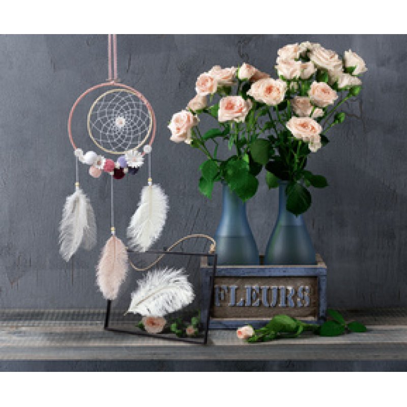 folia Plumes d'autruche, longueur : env. 170 mm, assorti