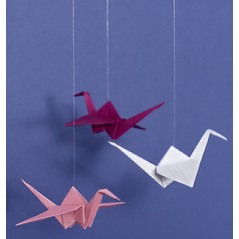 folia Fil nylon en bobine, 0,3 mm x 70 m, transparent