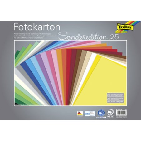 folia Carton de bricolage, (L)500 x (H)700 mm, 300 g/m2