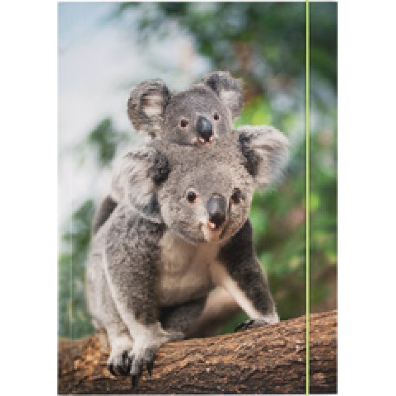 folia Pochette de rangement à dessins BASIC "Puggy Love", A3