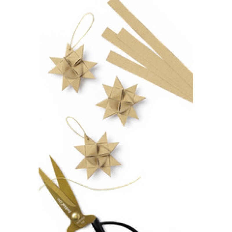 folia Bandes de papier WINTER pour mini étoiles de Froebel