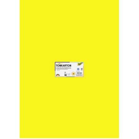 folia Carton de couleur, (L)500 x (H)700 mm, assorti