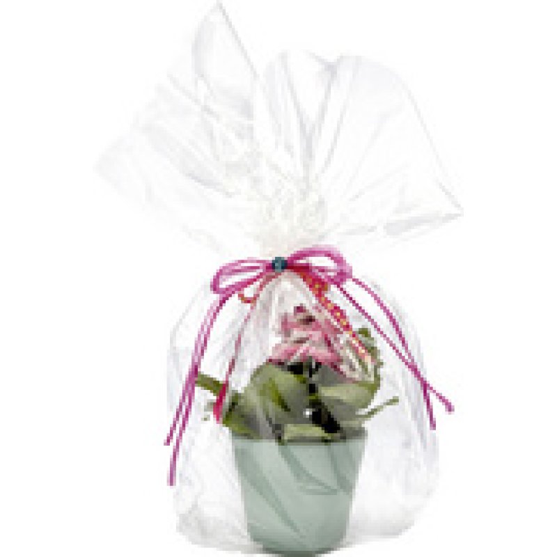 folia Film pour emballage cadeau, 20 microns, non imprimé