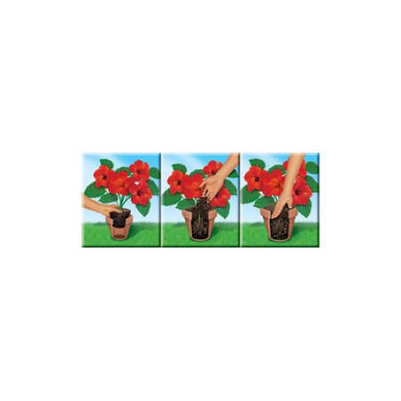 COMPO SANA Terreau de rempotage de qualité pour fleurs, 10 l