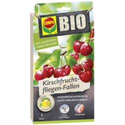 COMPO BIO Kirschfruchtfliegen-Falle, Leimfalle