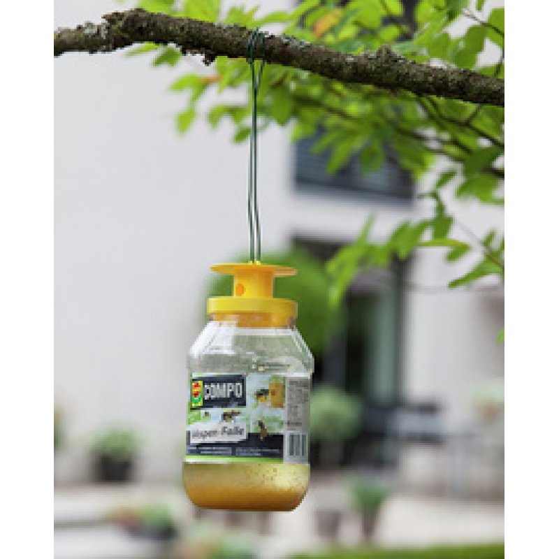 COMPO Wespenfallen-Köder, 2er Nachfüllpack
