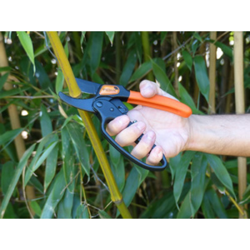 Garten PRIMUS Sécateur à crémaillère, fermeture à une main