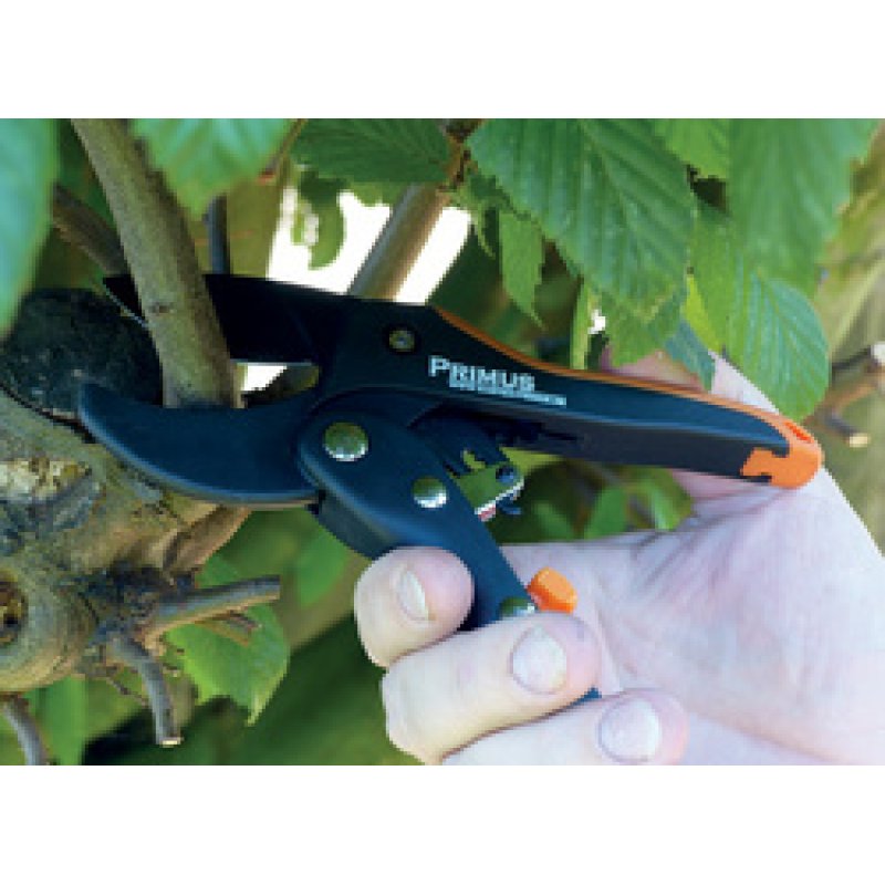 Garten PRIMUS Sécateur à crémaillère pour dames, L : 174 mm