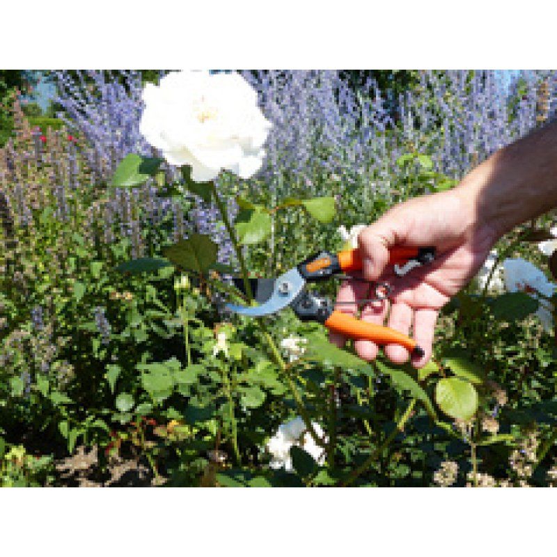 Garten PRIMUS Lame de rechange pour sécateur de jardin