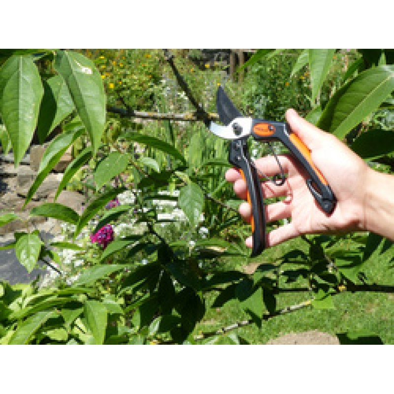 Garten PRIMUS Lame de rechange pour le sécateur de jardin