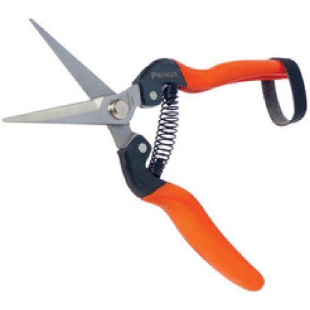 Garten PRIMUS Ciseaux de jardin "Ciseaux magiques"