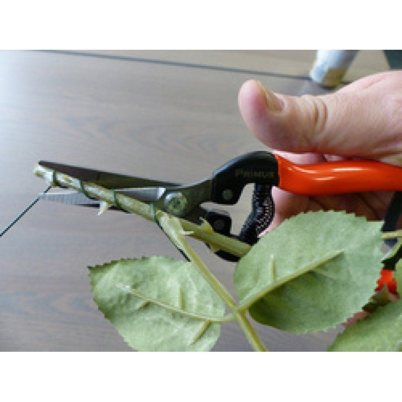 Garten PRIMUS Ciseaux de jardin "Ciseaux magiques"
